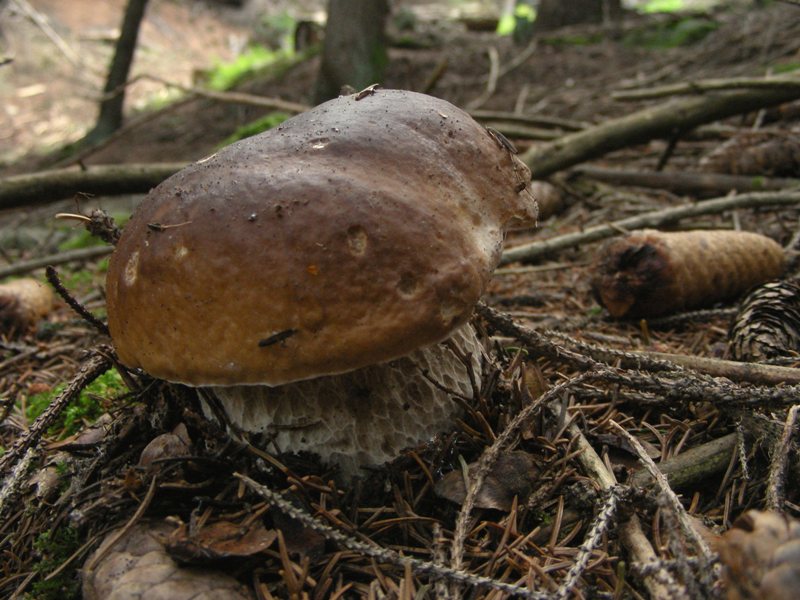 Qualche highlight 2007